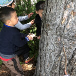 montessori-outdoor-04-01