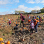 montessori-pumkin-patch-03
